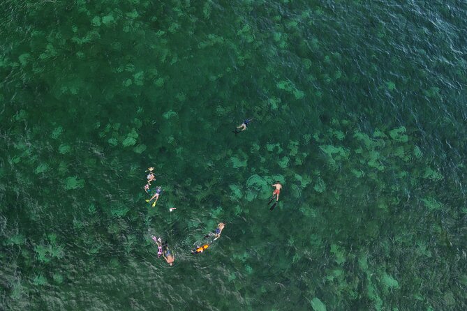 Beach Snorkeling Adventure in Lauderdale by the Sea - Traveler Feedback