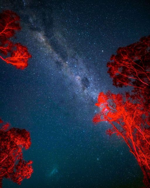 Beach Stargazing With an Astrophysicist in Jervis Bay - Experience Highlights