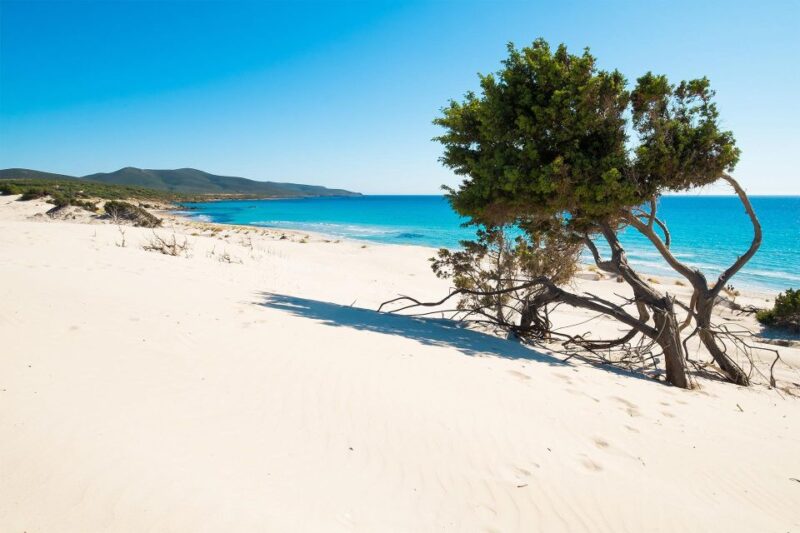 Beach Tour Porto Pino & Piscinnì From Cagliari - Customer Reviews