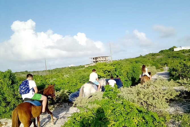 Beach Trail and Swim. Cockburn Town, Grand Turk, Turks and Caicos - Customer Feedback
