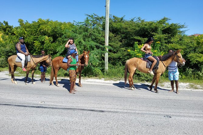 Beach Trail and Swim. Cockburn Town, Grand Turk, Turks and Caicos - Operators Response