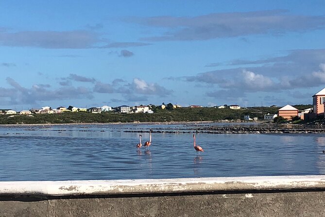 Beach Trail and Swim. Cockburn Town, Grand Turk, Turks and Caicos - Recommendations for Travelers