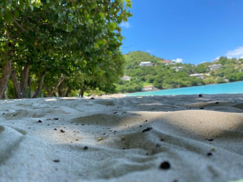Beach Transfers - Highlights