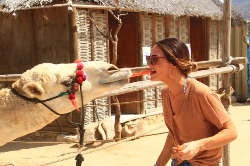Beach UTV & Camel Ride COMBO in Cabo by Cactus Tours Park - Highlights
