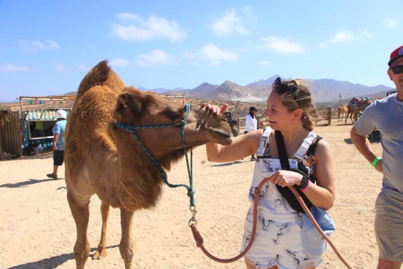 Beach UTV & Camel Ride COMBO in Cabo by Cactus Tours Park - Important Information