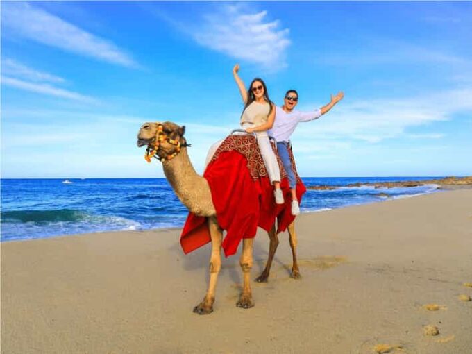 Beach UTV & Camel Ride COMBO in Cabo by Cactus Tours Park - Optional Experiences