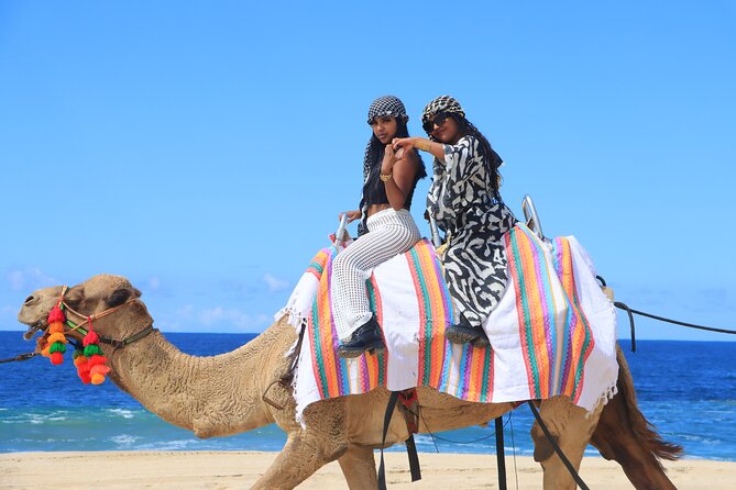 Beach UTV & Camel Ride COMBO in Cabo by Cactus Tours Park - Cancellation Policy