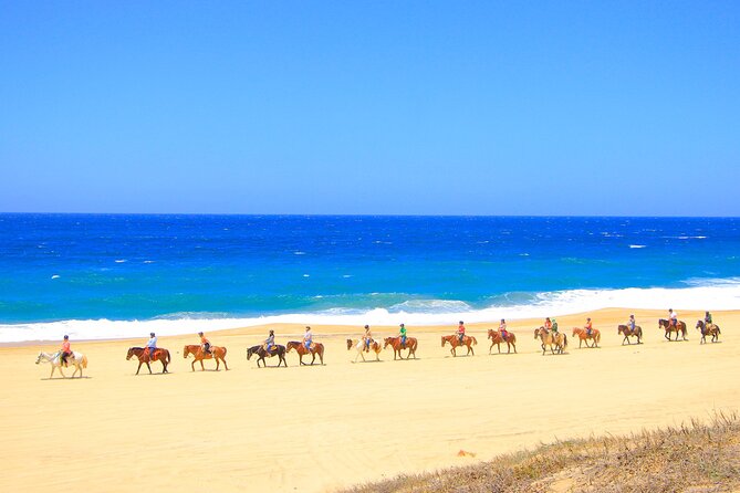 Beach UTV & Horseback Riding COMBO in Cabo by Cactus Tours Park - Pickup Details