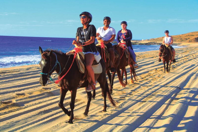 Beach UTV & Horseback Riding COMBO in Cabo by Cactus Tours - Adventure Highlights