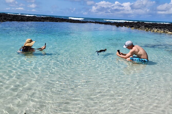Beach Wildlife and Snorkel Adventure With Underwater Specialist - Tour Requirements and Restrictions