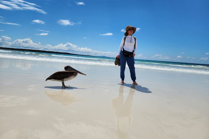 Beach Wildlife and Snorkel Adventure With Underwater Specialist - Customer Experiences and Feedback