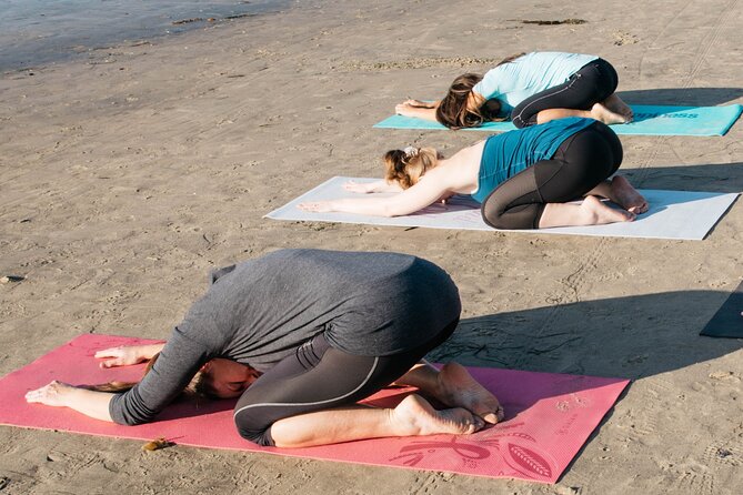 Beach Yoga in San Diego - Reviews and Instructor Feedback