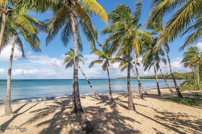 Beachcombing in Paradise South Caribbean V.I.P Tour - About Your Stay