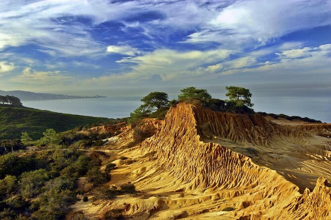 Beaches & Bluffs San Diegos Ultimate Coastal Driving Tour - Key Points