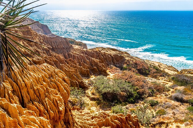 Beaches & Bluffs San Diegos Ultimate Coastal Driving Tour - Scenic Driving Route Highlights