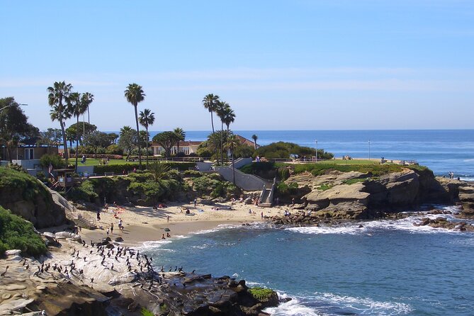 Beaches & Bluffs San Diegos Ultimate Coastal Driving Tour - Exploring La Jolla Cove