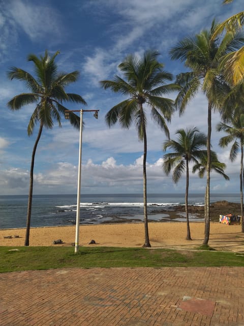 BEACHES TRIP IN SALVADOR - Key Points