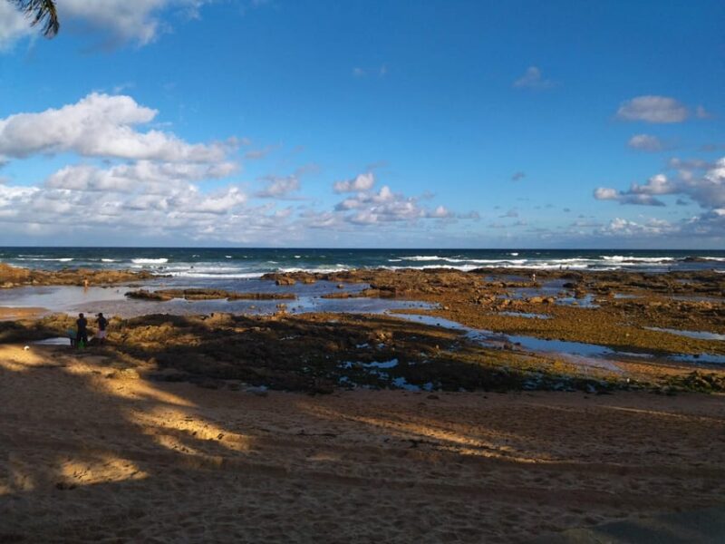 BEACHES TRIP IN SALVADOR - Pickup and Drop-off