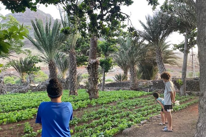 Beaches, Villages and Monte Verde, São Vicente Excludes City - Traveler Feedback and Ratings