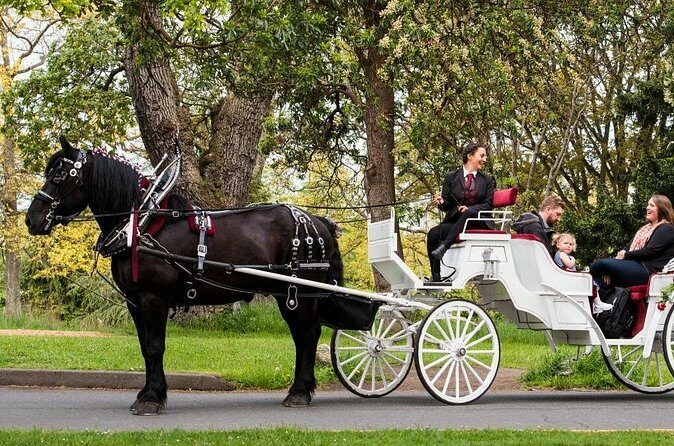 Beacon Hill Park Horse-Drawn Carriage Experience in Victoria - The Sum Up