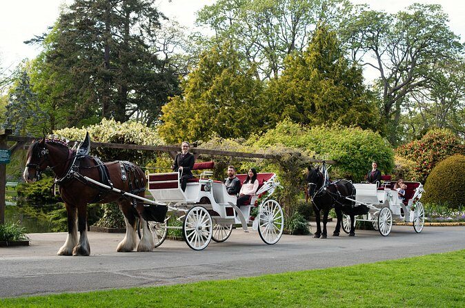 Beacon Hill Park Horse-Drawn Carriage Experience in Victoria - Final thoughts