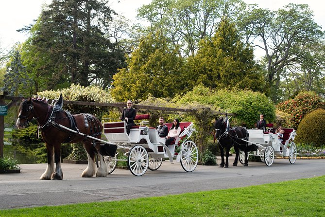Beacon Hill Park Horse-Drawn Carriage Experience in Victoria - Beacon Hill Park Exploration