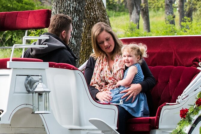 Beacon Hill Park Horse-Drawn Carriage Experience in Victoria - Meeting and End Point