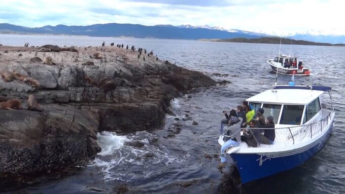 Beagle Channel and Sea Lions Catamaran Tour - Customer Reviews