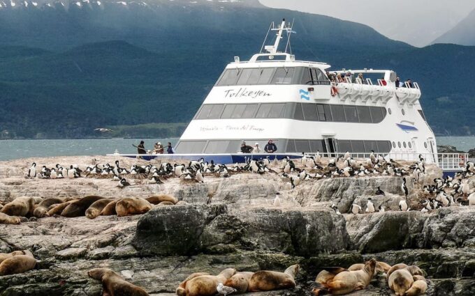 Beagle Channel and Sea Lions Catamaran Tour - Frequently Asked Questions