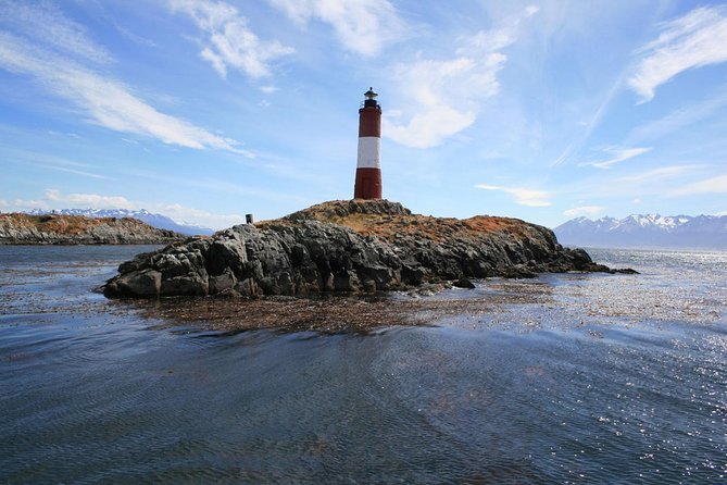 Beagle Channel and Seal Island Catamaran Tour From Ushuaia - Wildlife Encounters