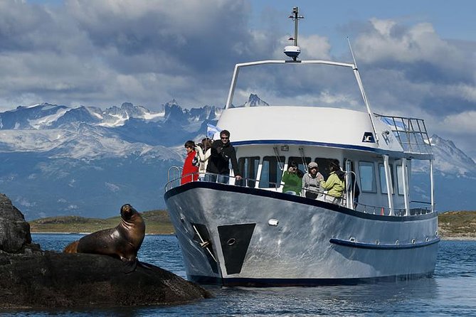 Beagle Channel Navigation on Yacht - Encountering Patagonias Marine Wildlife