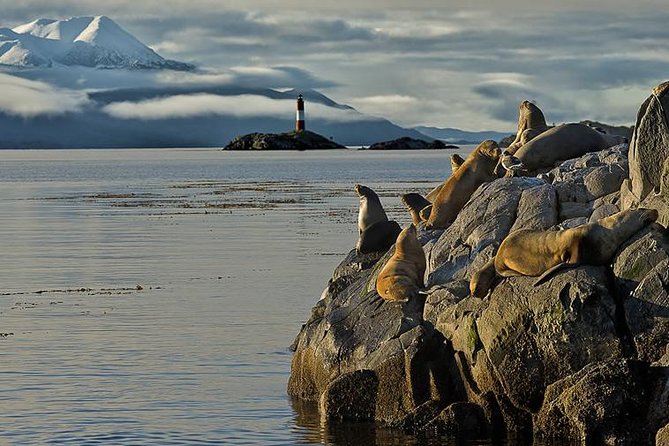 Beagle Channel Navigation on Yacht - Savoring the Onboard Refreshments