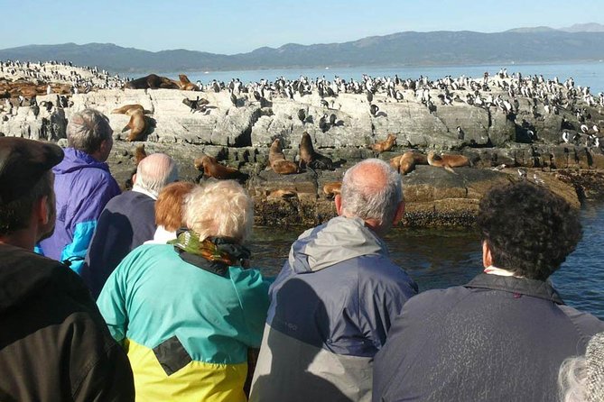 Beagle Channel Navigation Penguin Colony - Martillo Island Exploration