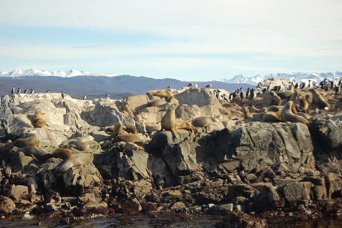 Beagle Channel Navigation - Sea Lions Island - Meeting and Pickup Information