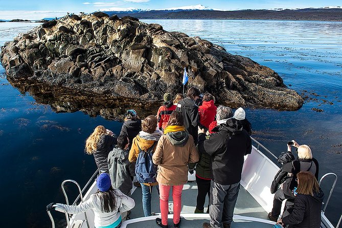Beagle Channel Navigation With Minitrekking - Customer Reviews and Ratings