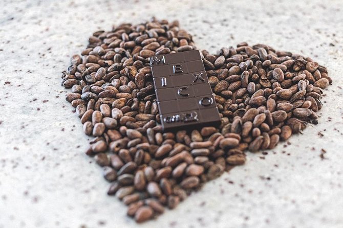Bean to Bar Chocolate Workshop in Puerto Vallarta - Workshop Schedule