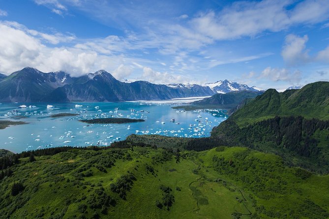 Bear Glacier Scenic Flight - Booking Requirements