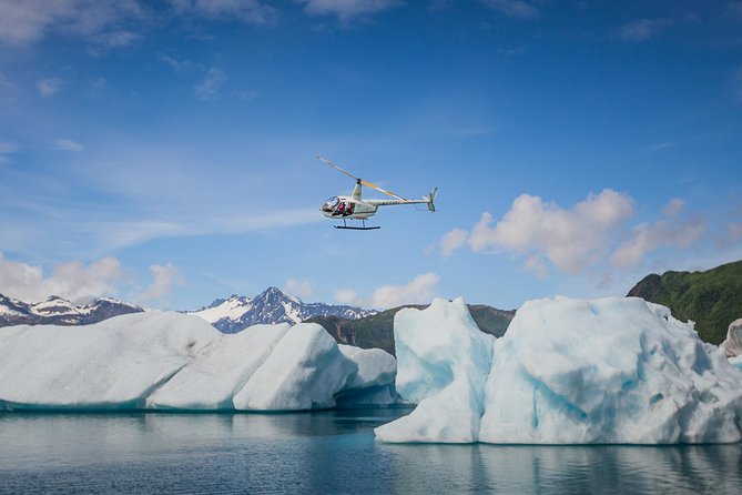 Bear Glacier Scenic Flight - Tour Group Size
