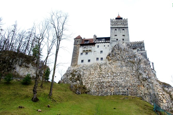 Bear Sanctuary and Bran Castle From Brasov - Inclusions