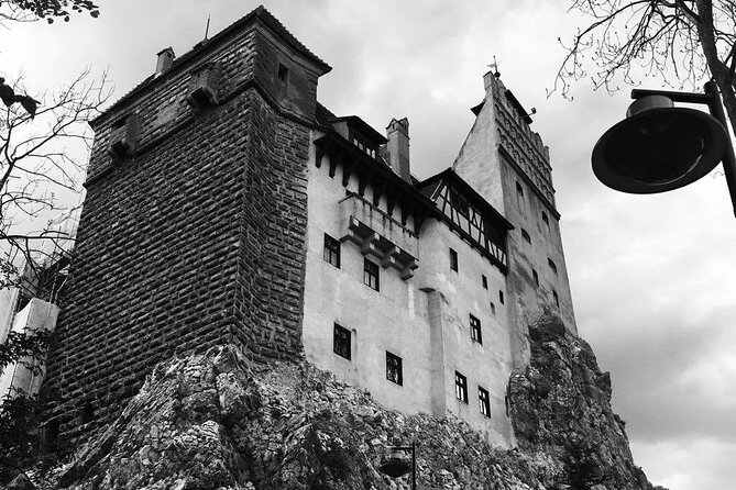 Bear Sanctuary and Bran Castle From Brasov - Accessibility and Participation