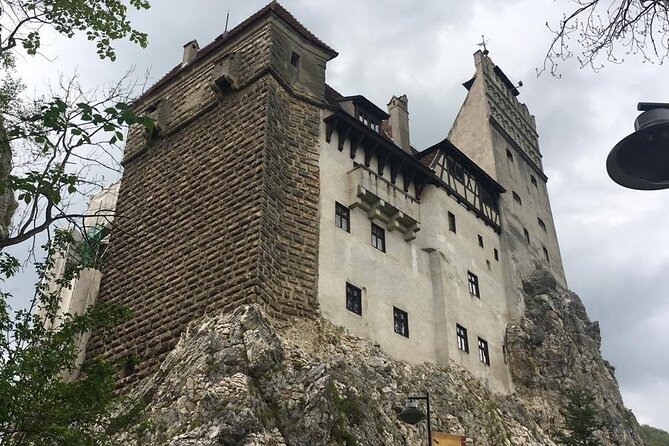 Bear Sanctuary and Bran Castle From Brasov - Traveler Reviews