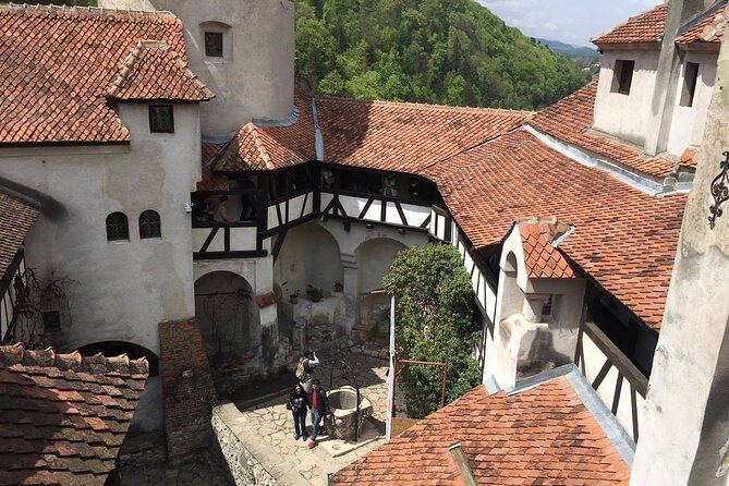 Bear Sanctuary and Bran Castle From Brasov - Exploring the Bear Sanctuary