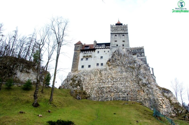 Bear Sanctuary & Bran Castle & Airport OTP From Brasov - Highlights of the Tour