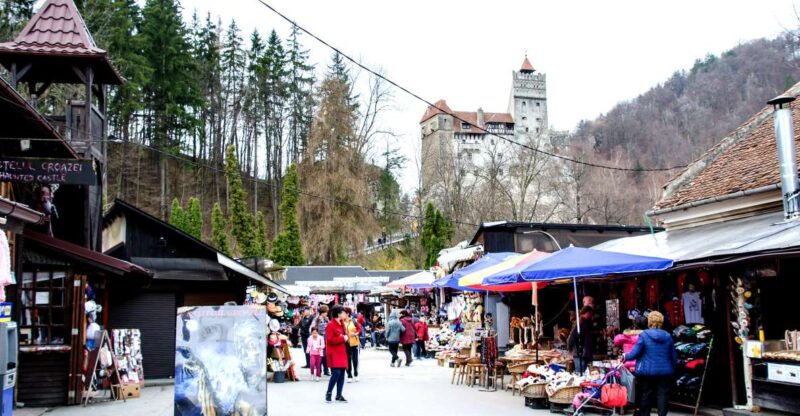 Bear Sanctuary & Bran Castle & Airport OTP From Brasov - Details About Bear Sanctuary