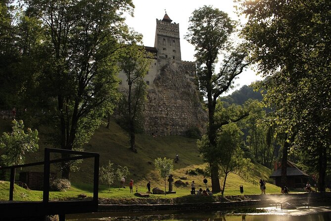 Bear Sanctuary, Bran Castle & Rasnov Fortress - Tour From Brasov - Highlights of the Tour Experience