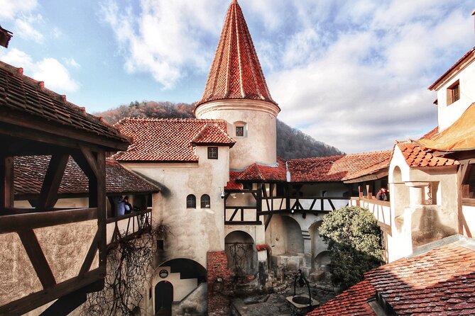 Bear Sanctuary, Bran Castle & Rasnov Fortress - Tour From Brasov - Plan Your Transylvania Adventure