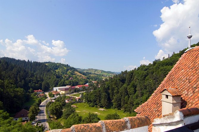 Bear Sanctuary, Bran (Dracula) Castle, Peles Castle From Brasov - Discovering Bran (Dracula) Castle