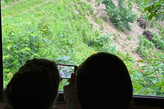 Bear Watching In Brasov: Observe Wild Bears From A Hideout - Meeting and Pickup Details