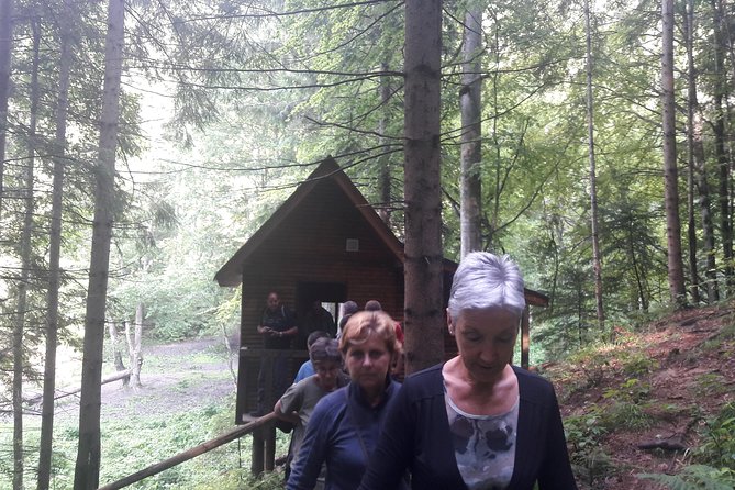 Bear Watching in the Wild From Brasov - Participant Requirements