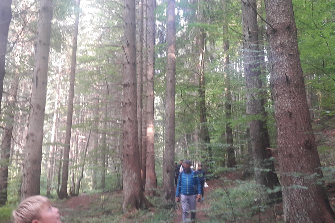 Bear Watching in the Wild From Brasov - Recommended Attire and Items